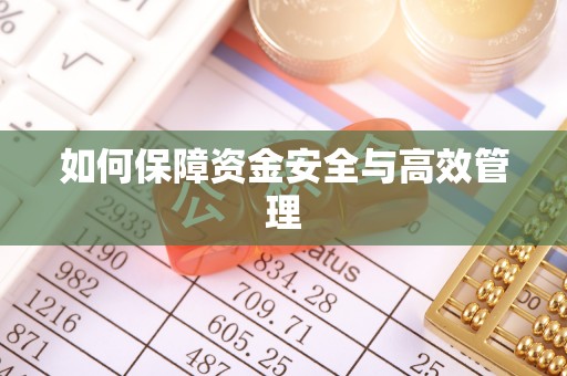成安如何保障资金安全与高效管理