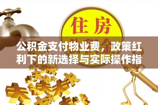 成安公积金支付物业费，政策红利下的新选择与实际操作指南