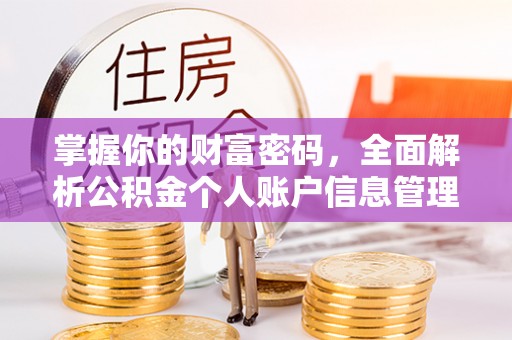 成安掌握你的财富密码，全面解析公积金个人账户信息管理