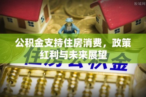 成安公积金支持住房消费，政策红利与未来展望