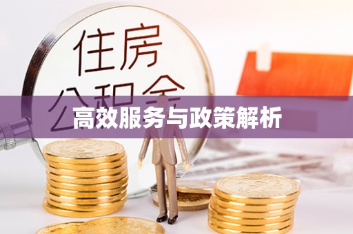成安高效服务与政策解析