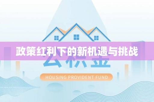 成安政策红利下的新机遇与挑战