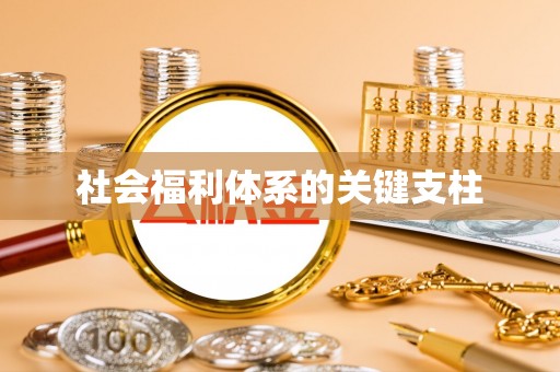 成安社会福利体系的关键支柱